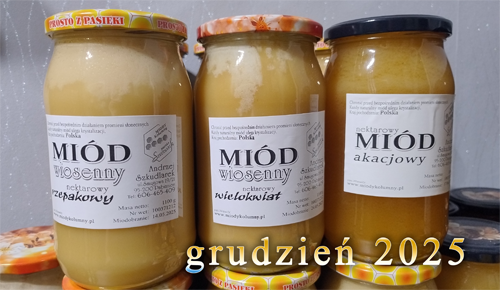 Aktualnie dostępne miody z Pasieki Szkudlarek. Miód nektarowy wielokwiatowy, nektarowy rzepakowy oraz nektarowy akacjowy. Wszystkie w formie skrystalizowanej. Miody Kolumny, Miody Łask 
